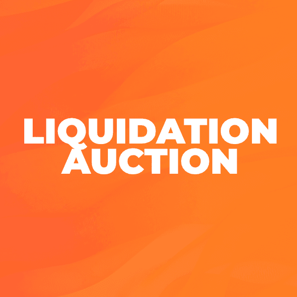 liquidation auction thumbnail 2