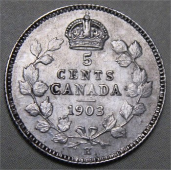 Collector Sale 6 1