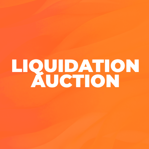 liquidation auction thumbnail