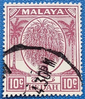Collector Sale 6 3