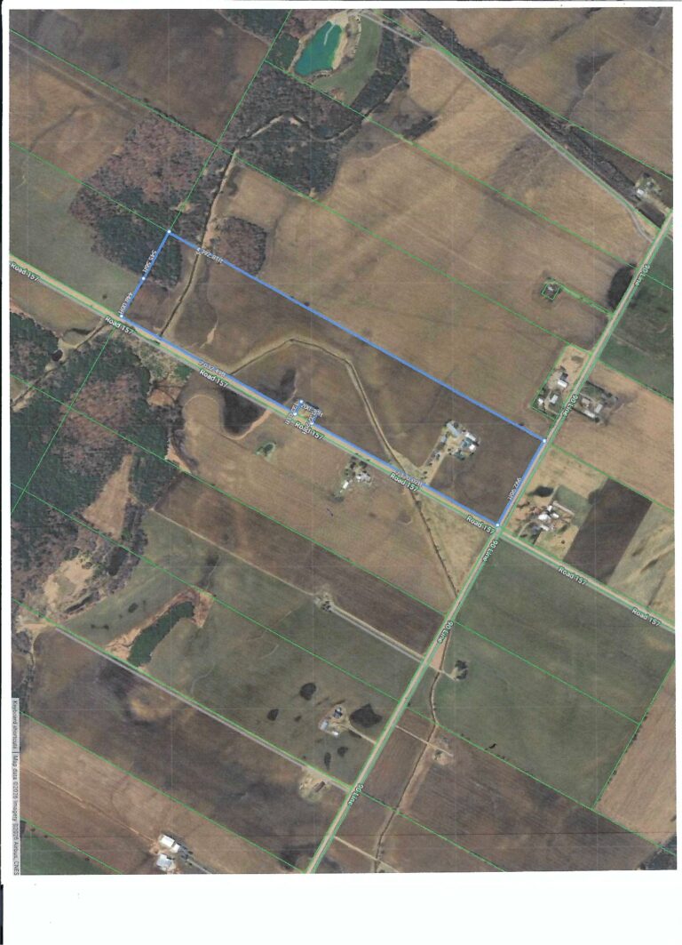 Webersatelite 768x1063