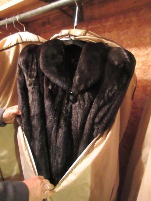 IMG 3489