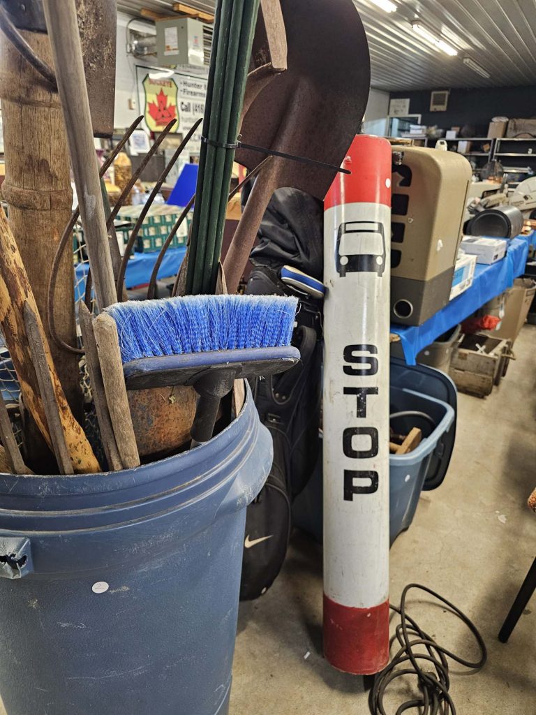 20261016 115638 resized 768x1024