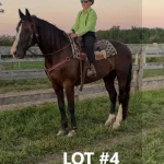 HORSE 4.jpg 150x150